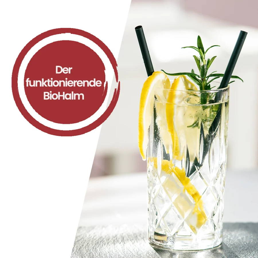 Estrella Damm ThekenTickeraktion 02/2026 | Drinkport